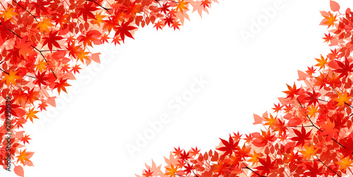 紅葉　もみじ　葉　背景