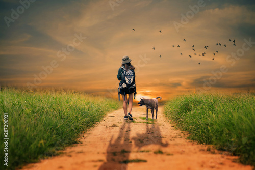 Woman walking with a dog in the field at sunset. © Songsak C