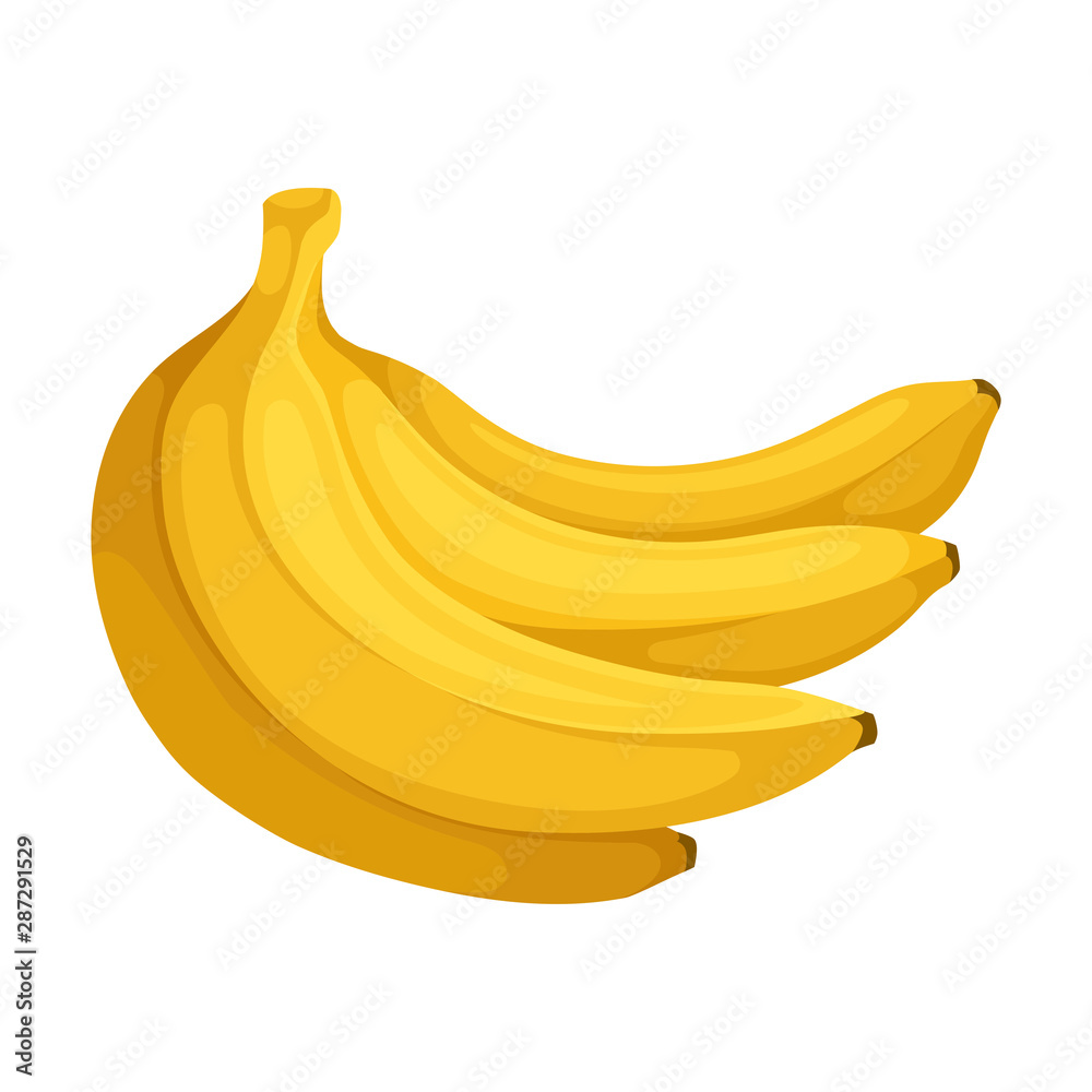Bunch of bananas. Vector illustration on a white background. Bunch of bananas. Vector illustration on a white background.