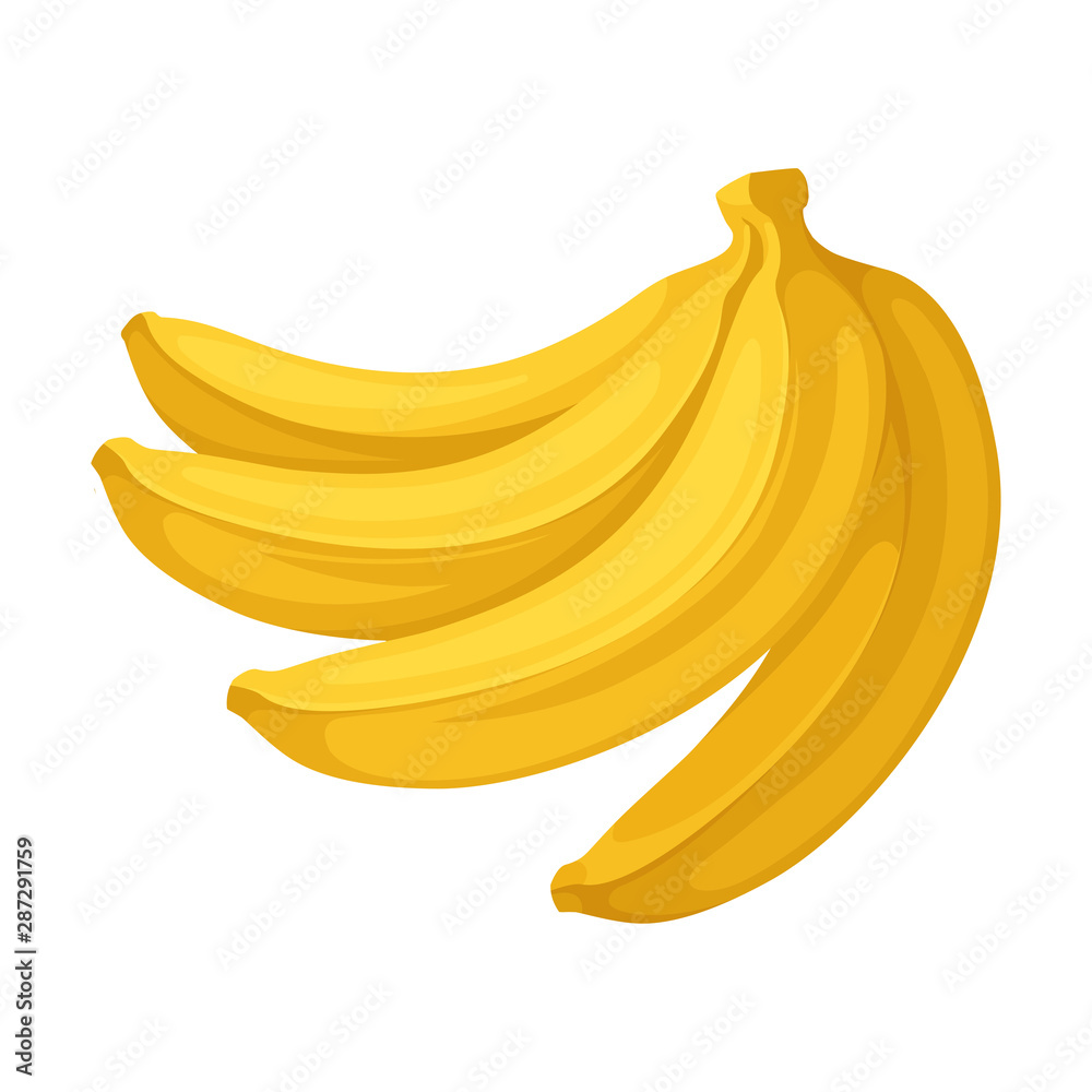 Four bananas in a bunch. Vector illustration on a white background. Four bananas in a bunch. Vector illustration on a white background.