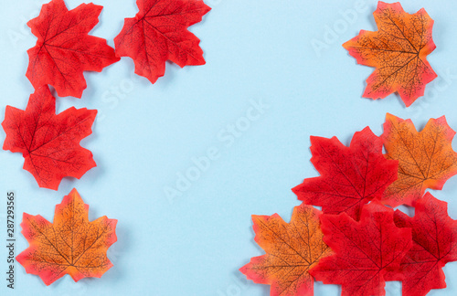 Autumn concept. Maple leaves on pastel blue background.