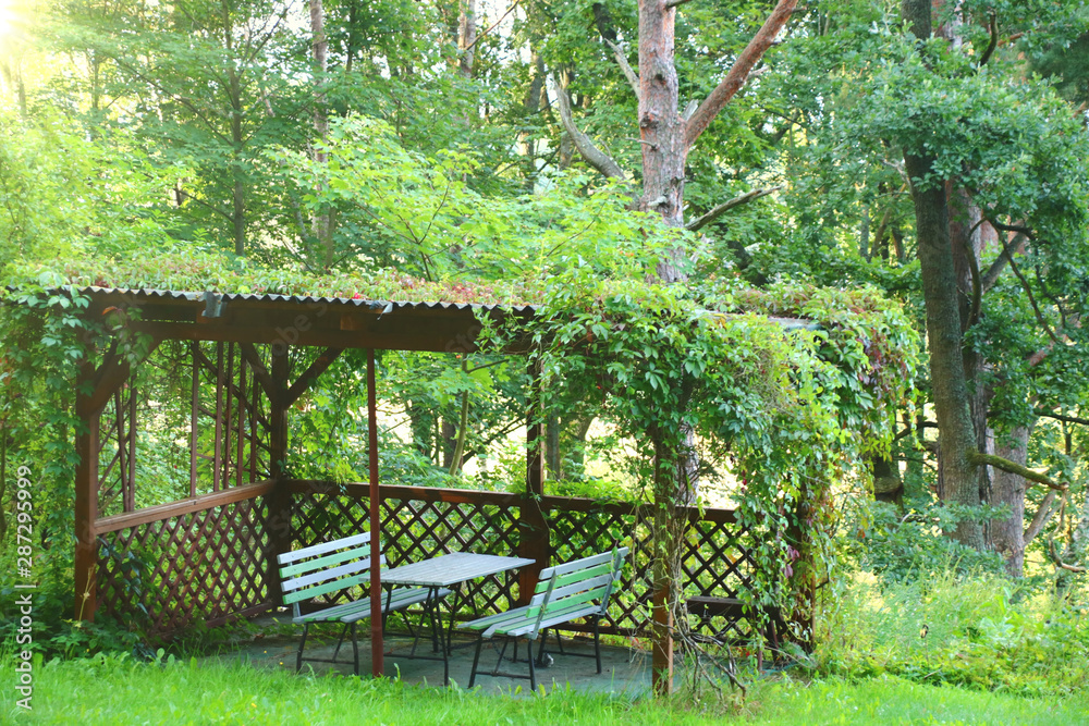 gartenlaube gartenlaube