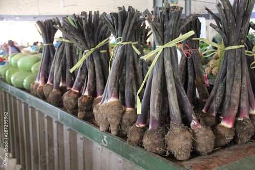Yam planting has been a tradition passed on through generations since the early Fijians settled in Fiji. Its one of the staple ingredient for fijian cuisine.