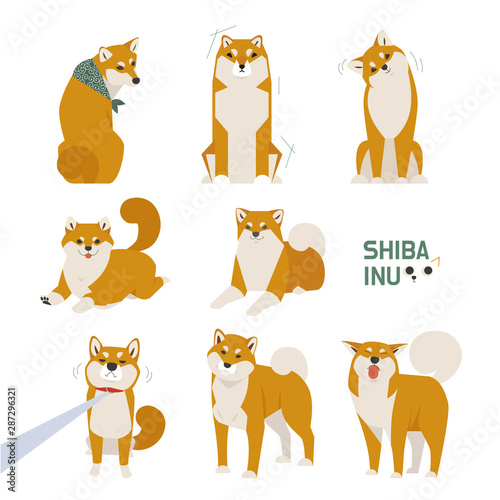 Fototapeta Naklejka Na Ścianę i Meble -  Cute Shiba Inu character in various poses. flat design style minimal vector illustration.
