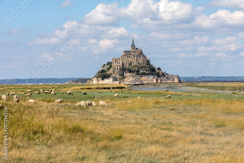 Wallpaper Mural A flock of sheep grazing on the salt meadows close to the Mont Saint-Michel tidal island under a summer blue sky. Le Mont Saint Michel, France Torontodigital.ca