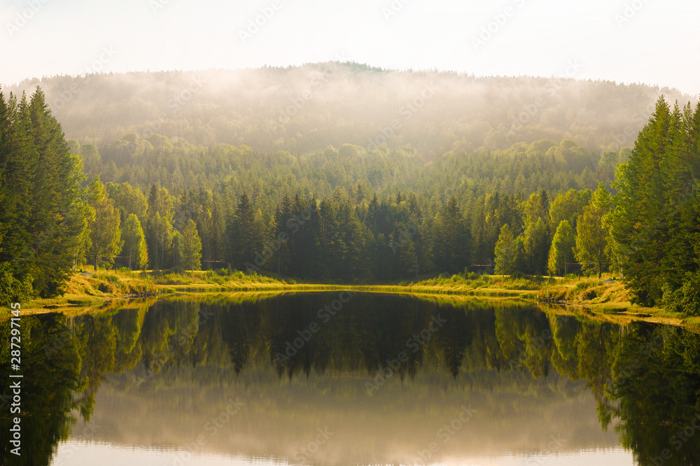 Fototapeta premium landscape with lake and forest