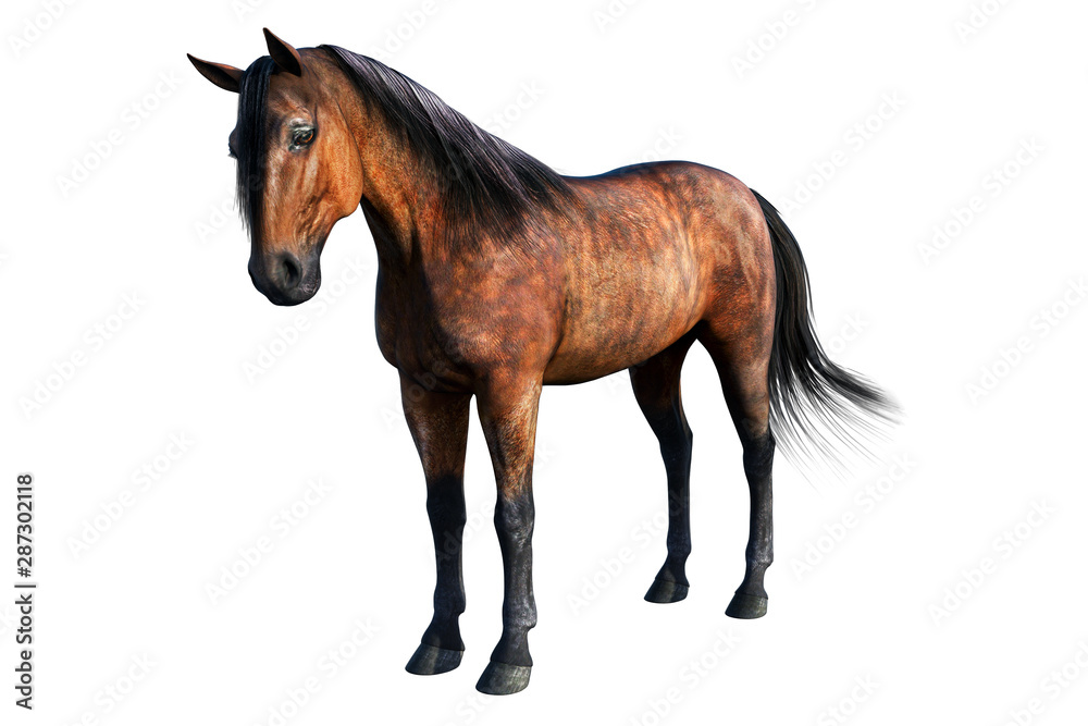 Obraz premium Brown Horse Standing, 3D illustration, 3D rendering