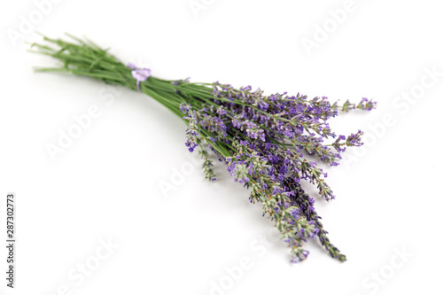 The concept of home comfort with lavender. Lavender flowers on white background.