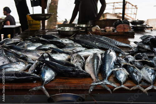 Fish market in Sri Lanka