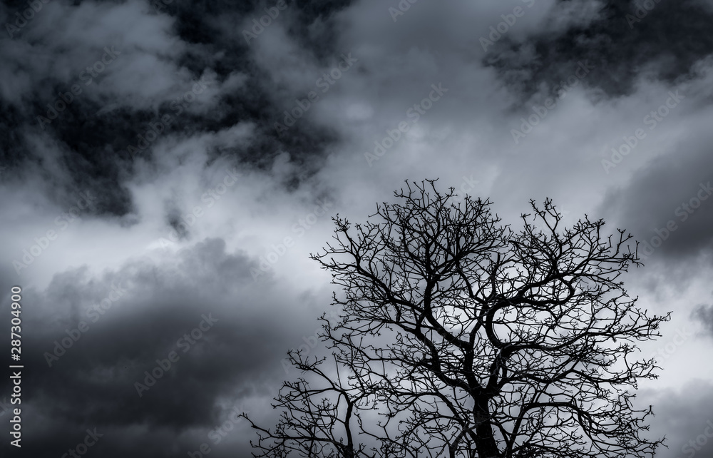 Silhouette dead tree and branch on grey sky background. Black branches of tree. Nature texture background. Art background for sad, dead, lonely, hopeless, and despair. Halloween day background. Silhouette dead tree and branch on grey sky background. Black branches of tree. Nature texture background. Art background for sad, dead, lonely, hopeless, and despair. Halloween day background.
