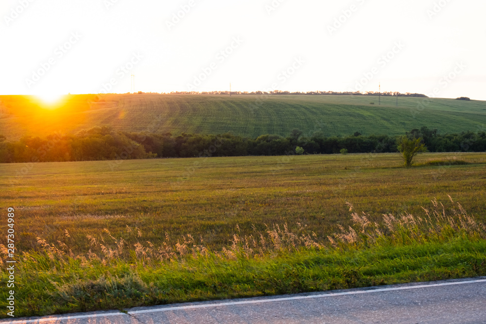 Fototapeta premium Field along the road at sunset