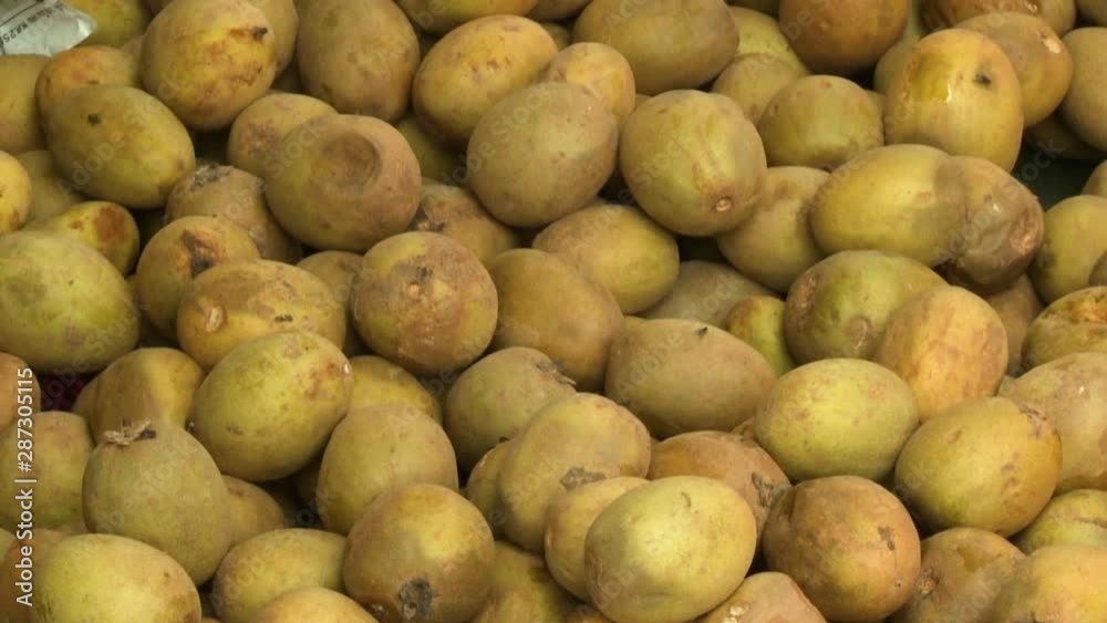 A steady closeup shot of a local Thailand fruit called Sapodilla all stacked and on display in a local fruit market.