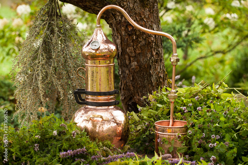 Obraz na plátně Alembic is a distilling apparatus of Arabic origin which may be used to distill essential oils and a variety of alcoholic beverages