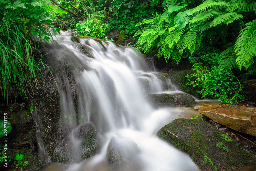 High mountain rainforest stream. River in mountain High mountain rainforest stream. River in mountain