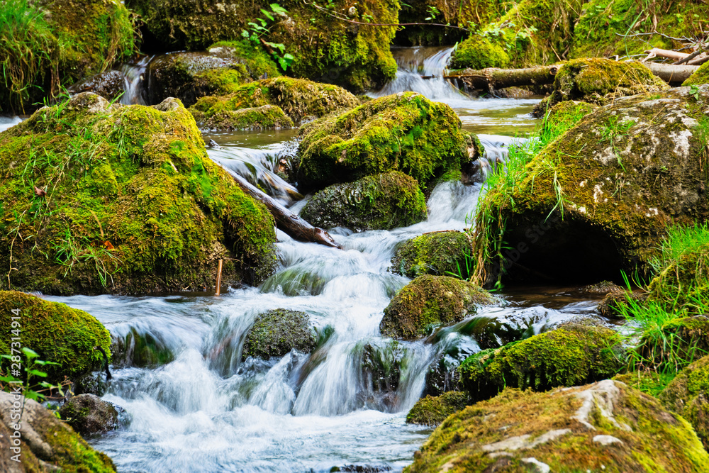 Obraz premium Gebirgsbach im Wald