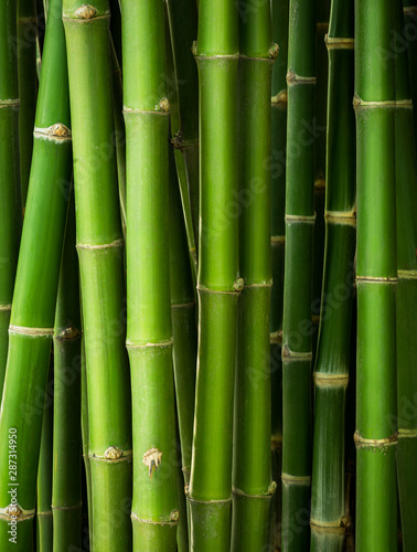 Fototapeta Naklejka Na Ścianę i Meble -  Bamboo trunk background