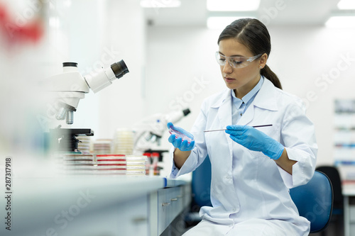 Attentive young researcher working in modern laboratory Fototapet