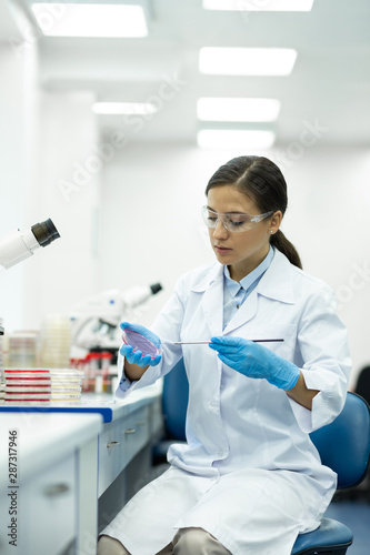 Concentrated female person sitting at her workplace