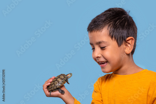Studio shot of a boy holding a turtle in his hand on a blue background. © rozaivn58