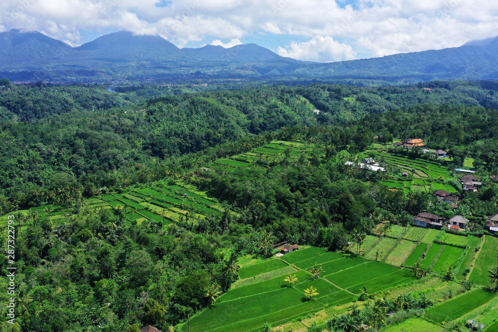 Beautiful drone view of nature, seen from Plaga village, on the way to Kintamani, Bali.