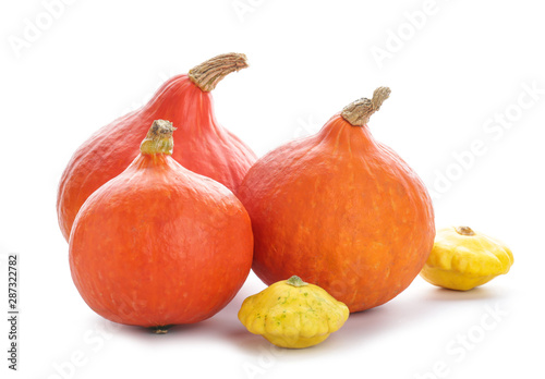 Fresh pumpkins and squashes on white background © Pixel-Shot