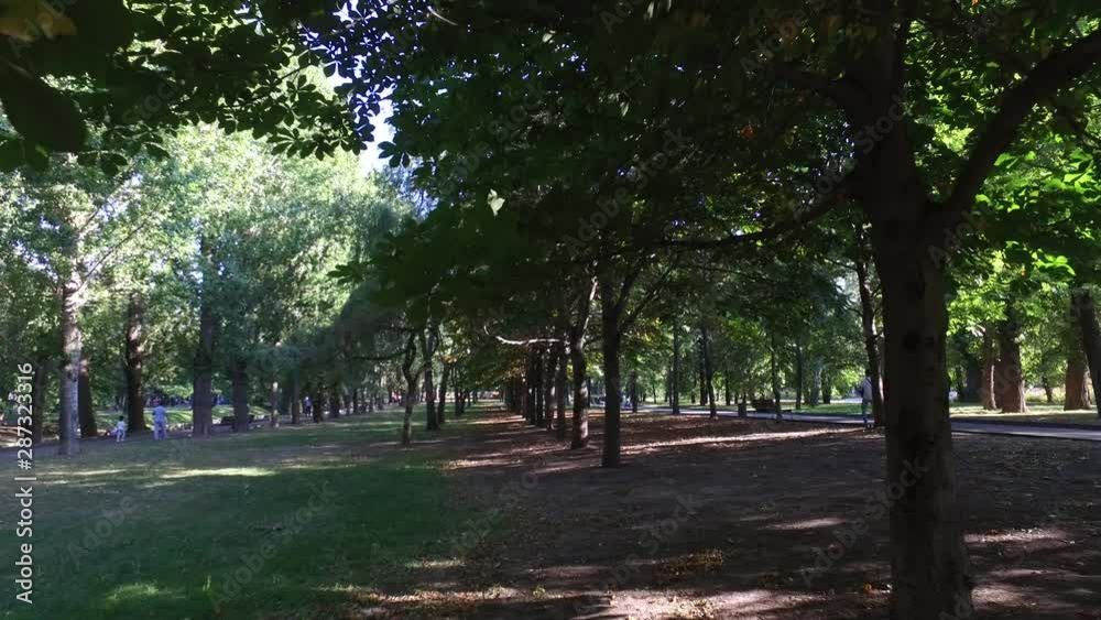 Urban summer park, walking people far away