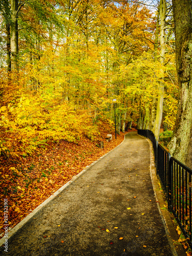 Bridge in autumn park