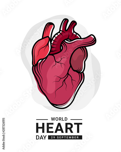 World heart day with red human heart Real and outline Drawing sign on white background vector design