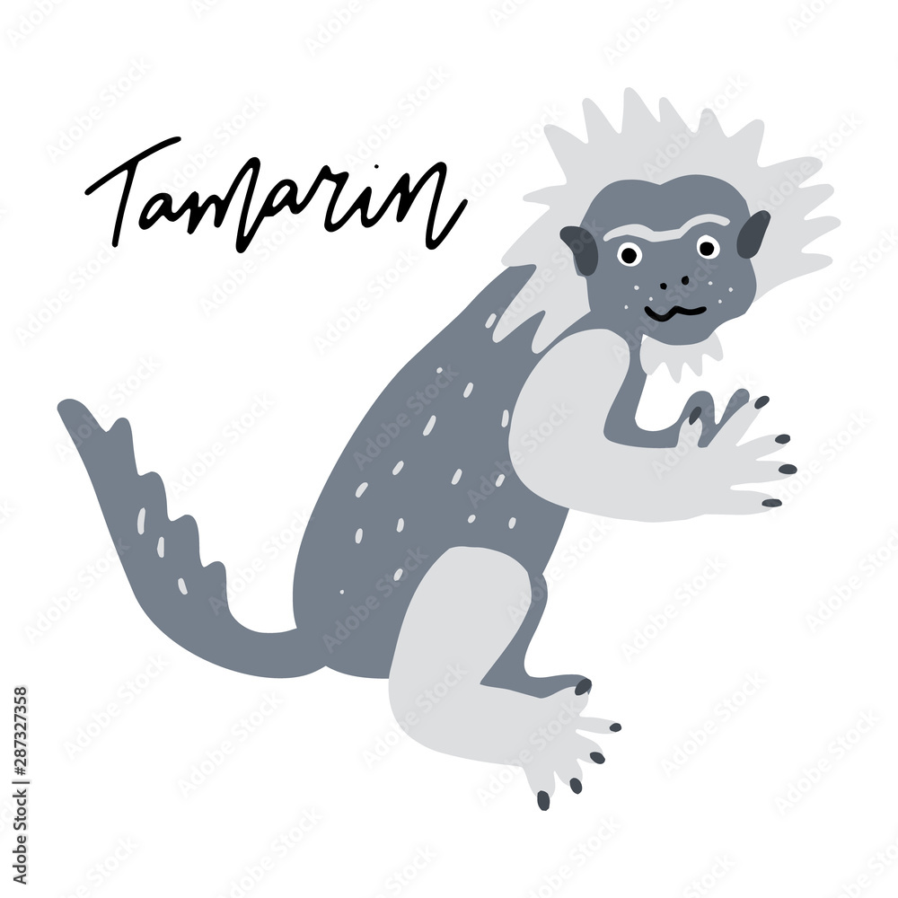 South America Animal Clipart Vector Drawing