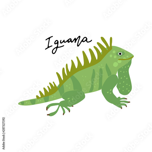 South America Animal Clipart Vector Drawing