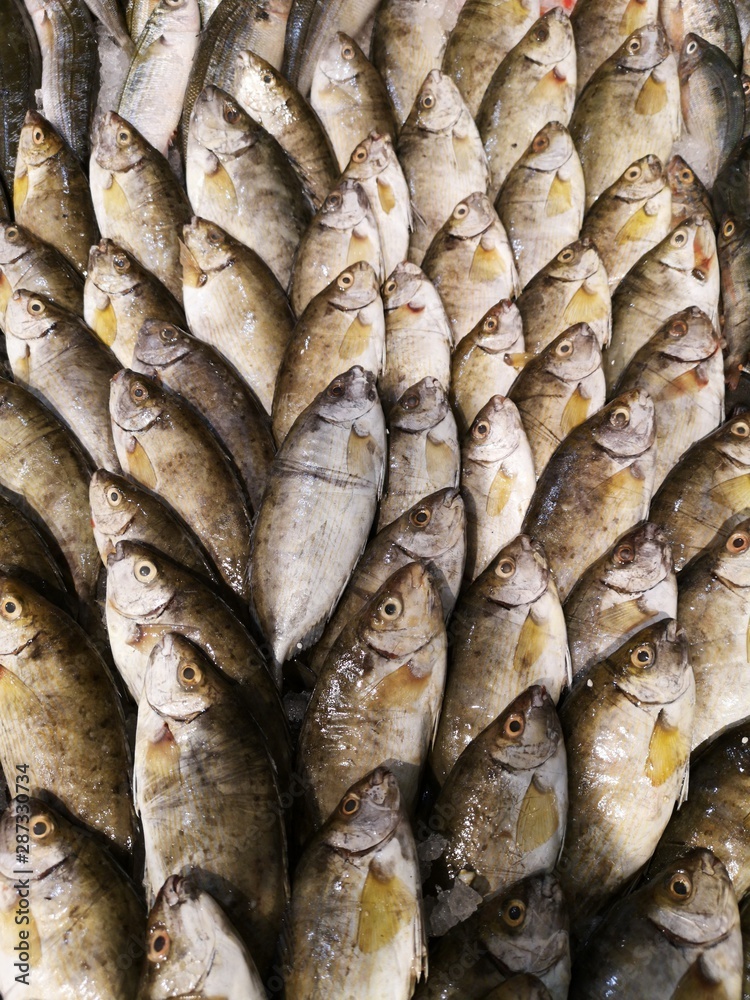 Obraz premium healthy fish at the market