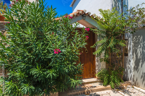 Fototapeta Naklejka Na Ścianę i Meble -  small authentic streets of Spetses island