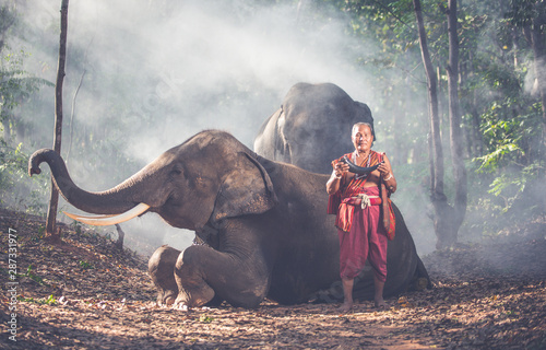 Shepherd in the jungle with elephants © oneinchpunch