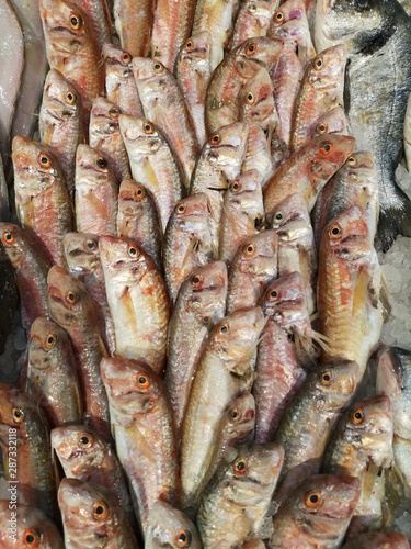 healthy fish at the market