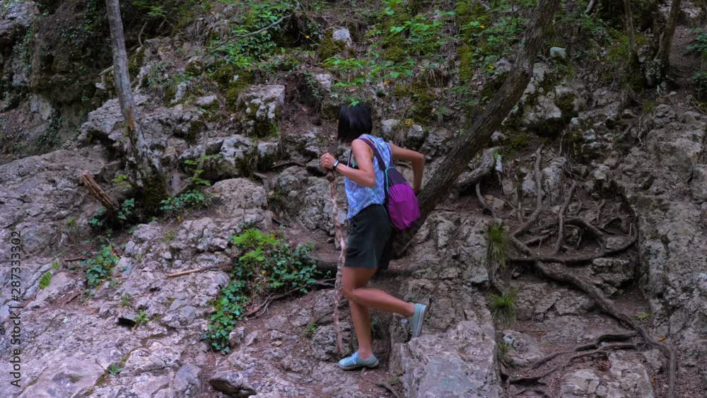 A young traveler girl with a wooden stick in her hand walks in a mountain forest along the hiking trail of the natural national park. A young traveler girl with a wooden stick in her hand walks in a mountain forest along the hiking trail of the natural national park.