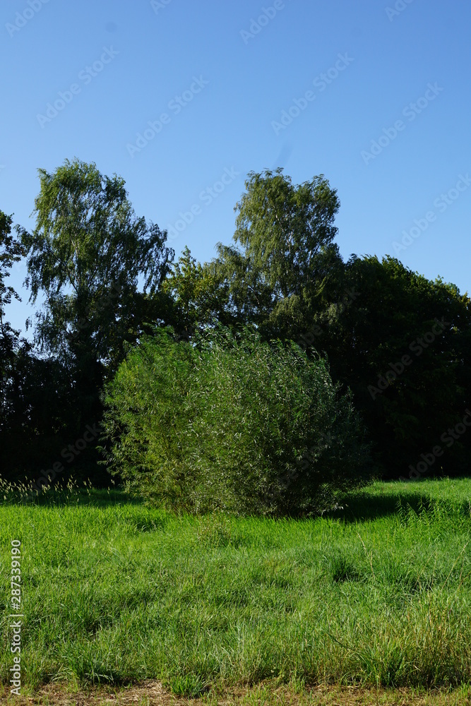 Am Ölteich in Bielefeld Am Ölteich in Bielefeld