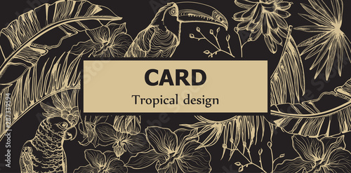 Tropic parrot card Vector line art . Exotic pattern leaves decors. Summer Par...