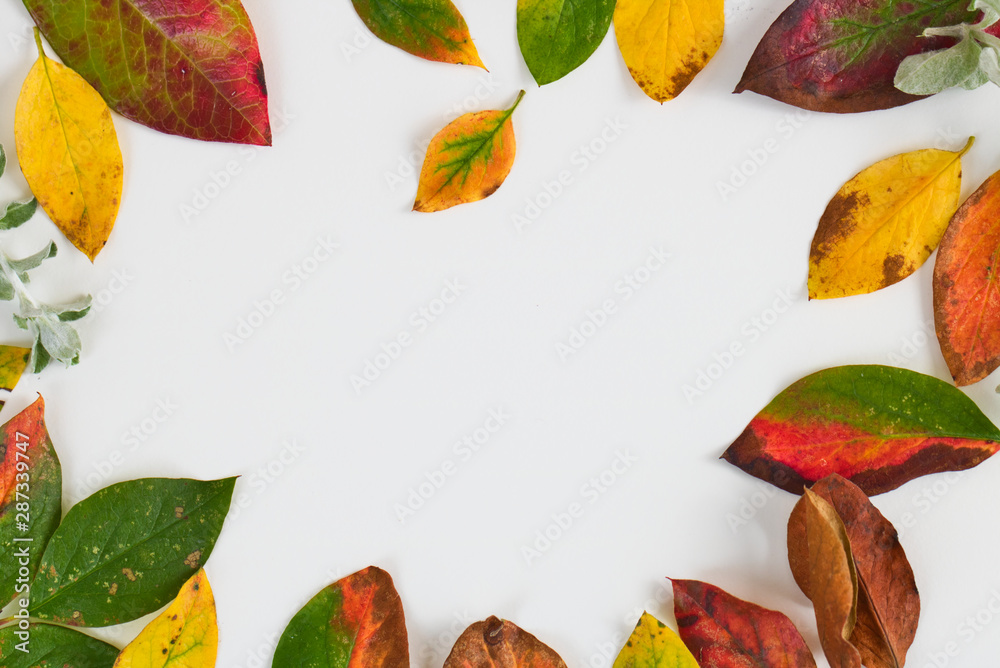 Obraz premium colorful autumn leaves background, frame