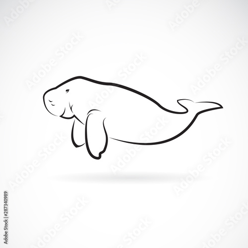 Vector of dugong design on white background. Wild Animals. Easy editable layered vector illustration. photo