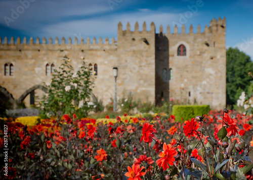 Red Dahlias and Castle Background in Bokeh, Braga, Portugal