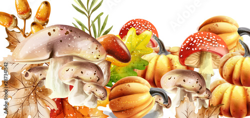 Autumn harvest pattern Vector. Fall muchrooms and fruits decor posters