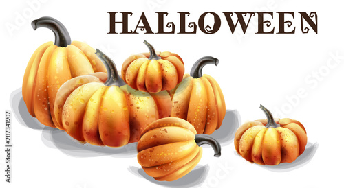 Halloween pumpkins vector watercolor. Balloons and hat decors