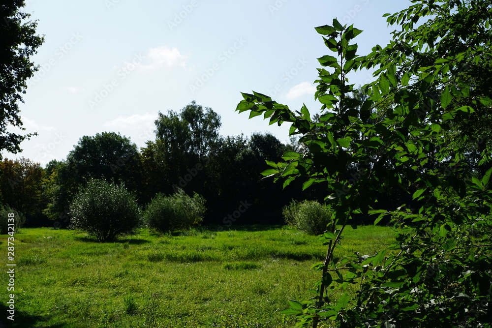 nature nature