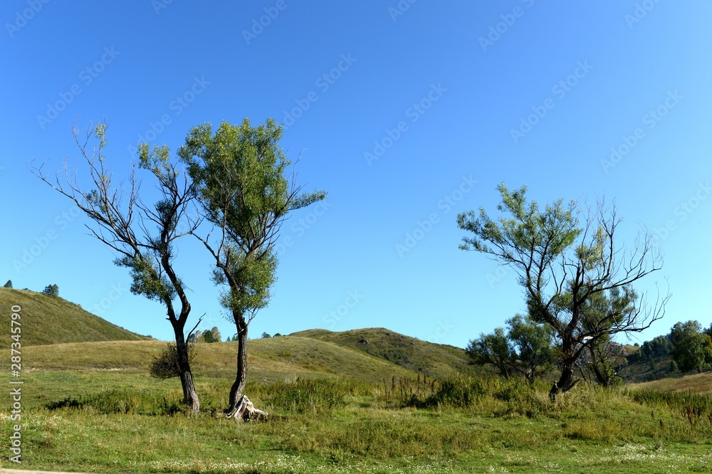 The surroundings of the taiga village of Generalka Altai region. Western Siberia The surroundings of the taiga village of Generalka Altai region. Western Siberia