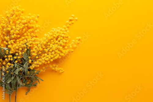 Yellow flower pattern on a yellow background.  Spring greeting card. © gitusik