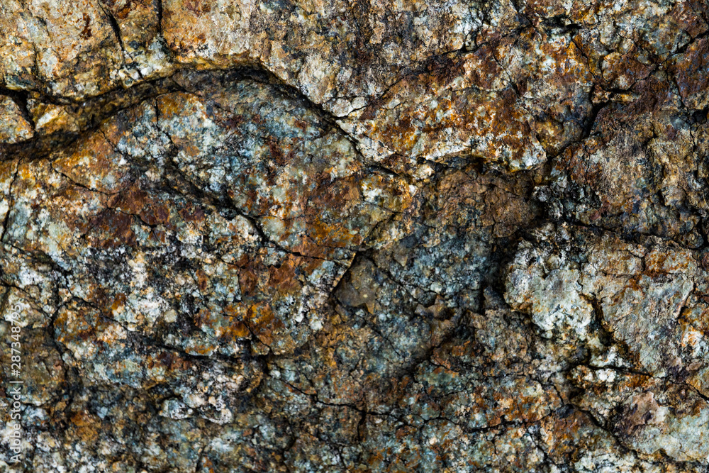 The texture of the stone overgrown with moss. Background image of a boulder The texture of the stone overgrown with moss. Background image of a boulder