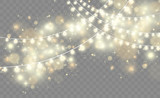Christmas lights isolated on transparent background. Vector illustration