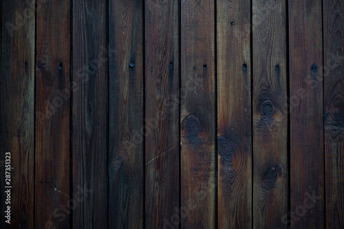 Wood texture. Macro background image of a wet dark wood