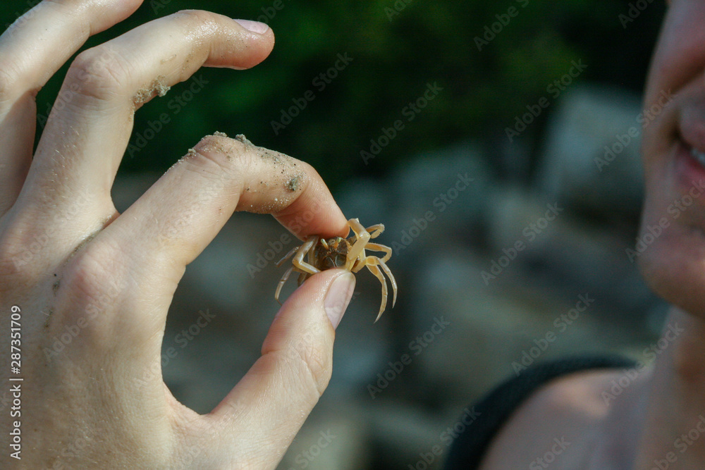 Obraz premium 2011.05.07, Phuket, Thailand. Travel around Asia. A guy holding a small crab between his fingers. Animal world of the Phuket.