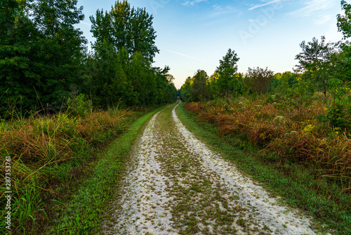 road in the forest